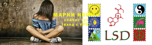 гашик Зерноград