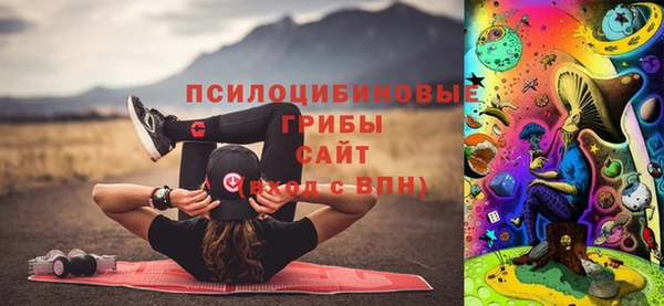 гашик Зерноград