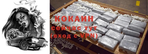 гашик Зерноград
