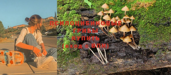дживик Зеленокумск