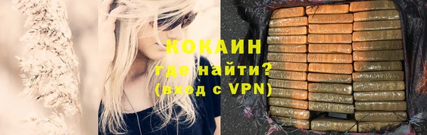 дживик Зеленокумск