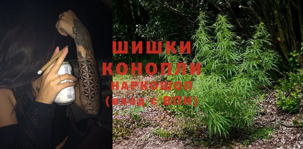 ешки Инта